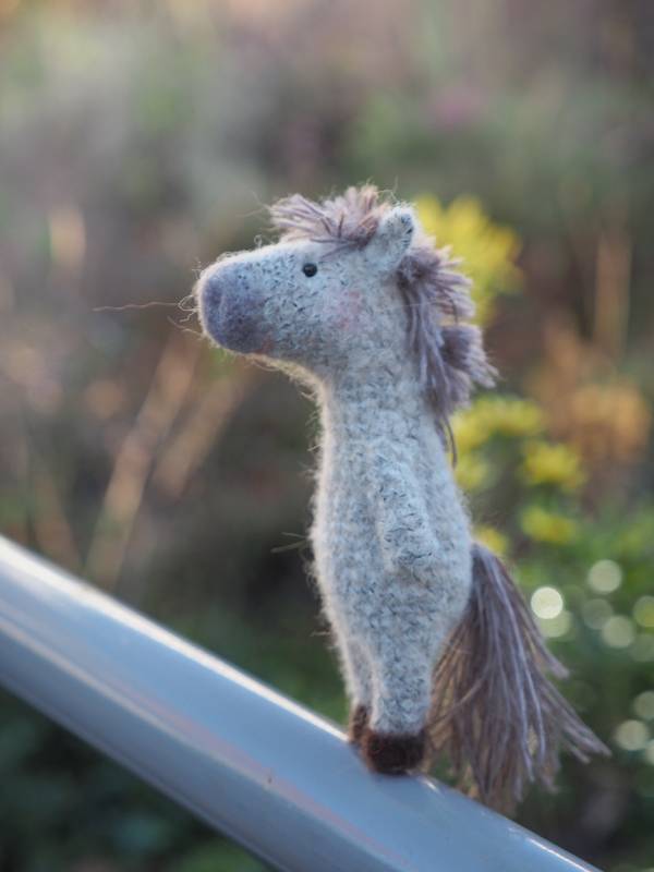 �Τ󤭤ʻ���