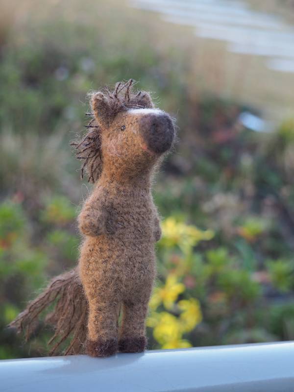 �Τ󤭤ʻ���