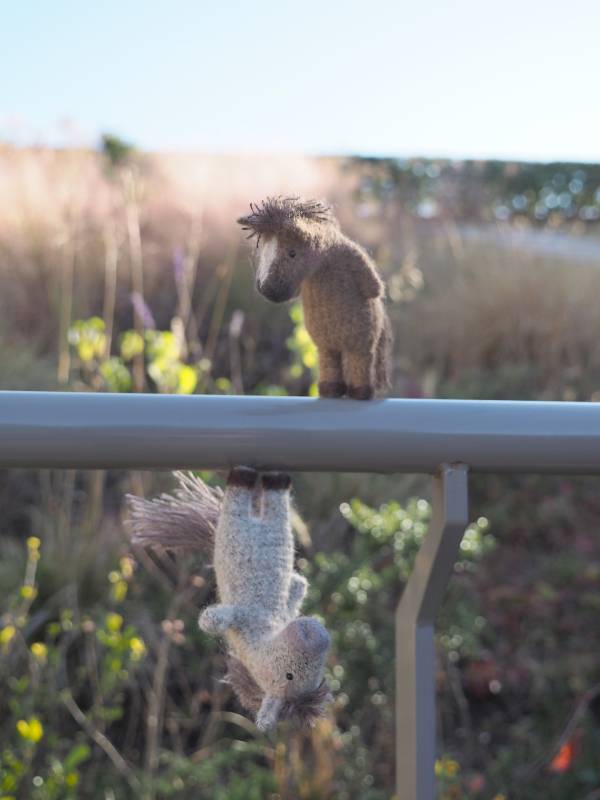 �Τ󤭤ʻ���