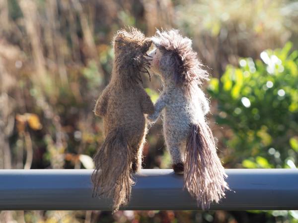 �Τ󤭤ʻ���