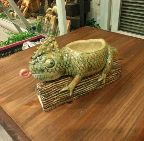 ����쥪��