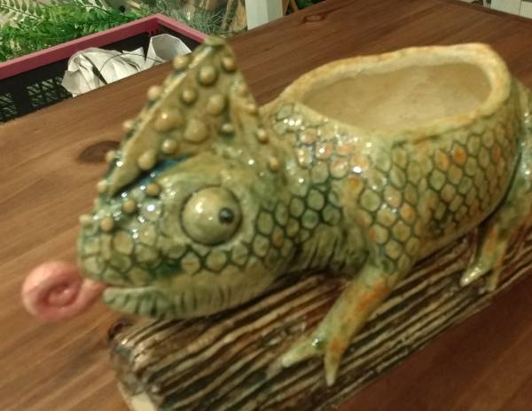 ����쥪��