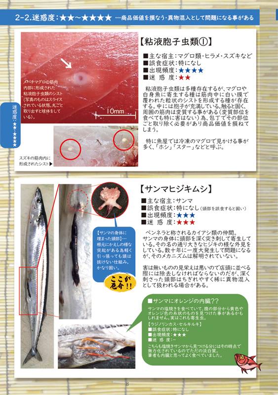 �������в񤦿ȶ�ʵ��δ�������������