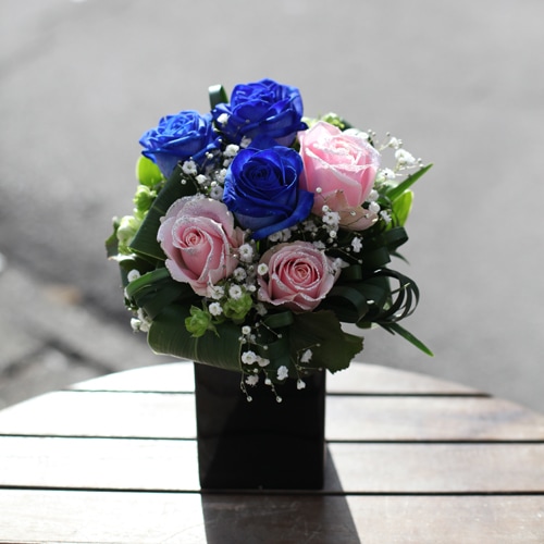 ĤХȥ饭ԥ󥯥Υߥ˥