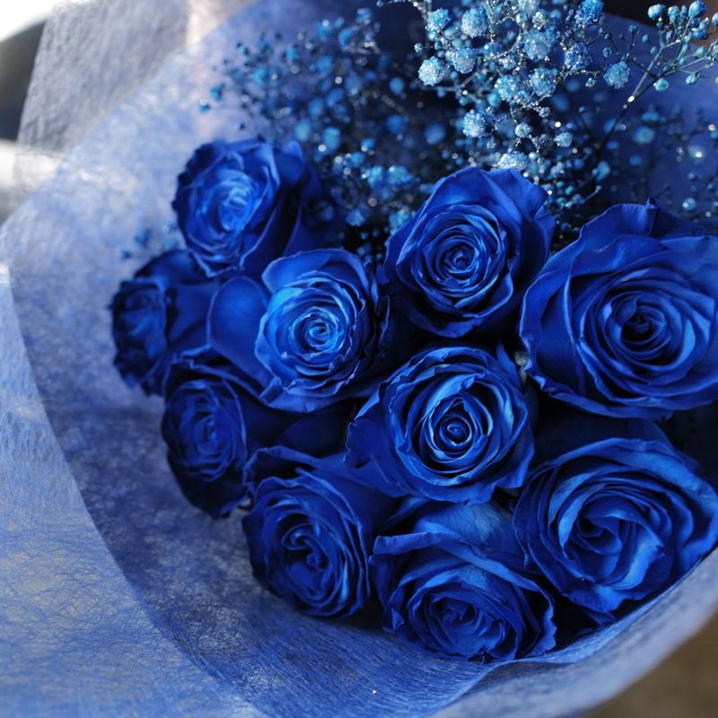 �Ĥ��Х顡10�ܤβ�«