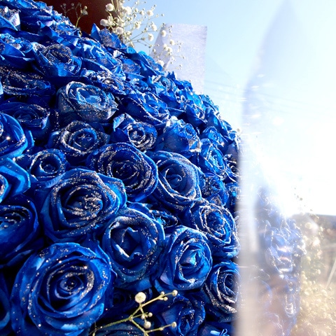 �����«�����饭���Ĥ��Х�200�� ���饭�餫��������