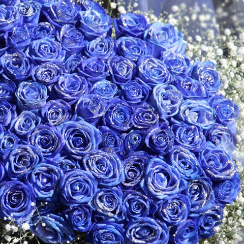 Ķ�����«�����饭���Ĥ��Х�300�� ���饭�餫��������