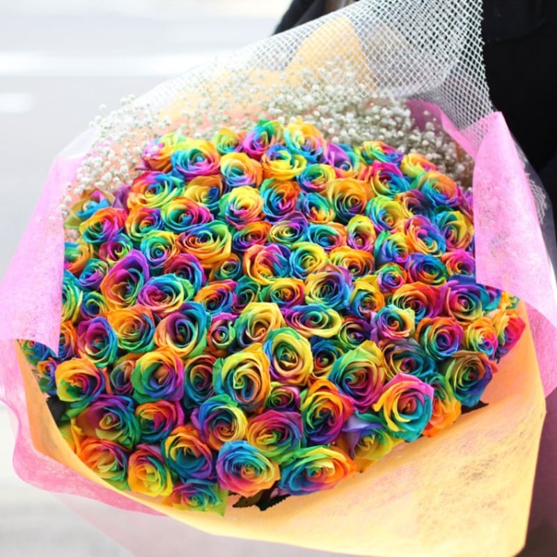 �쥤��ܡ�������108�ܤβ�«