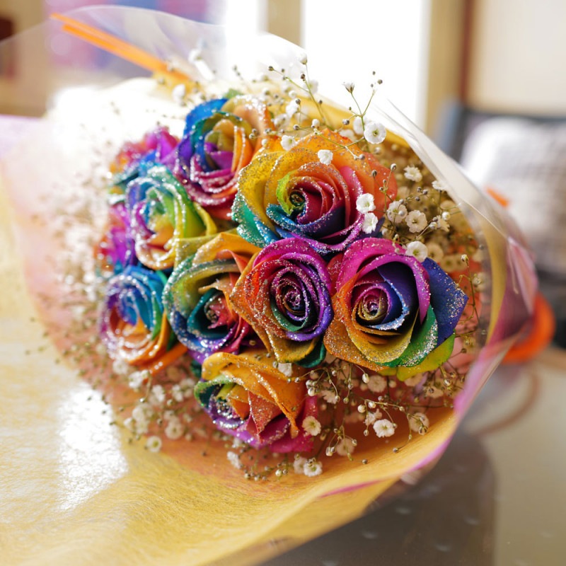 ���饭��쥤��ܡ���������10�ܤβ�«