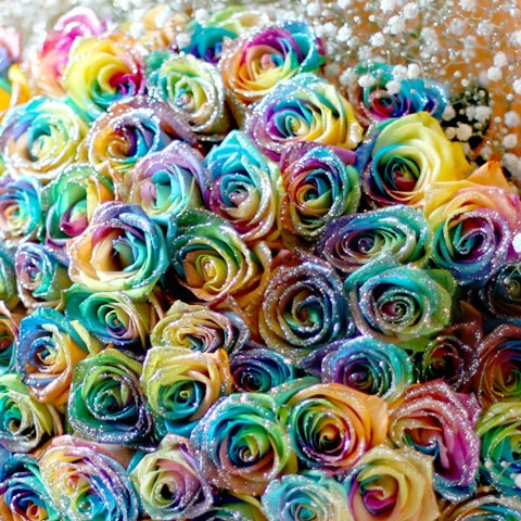 �����«�����饭��쥤��ܡ�������200�� ���饭�餫��������