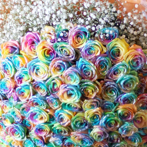 Ķ�����«�����饭��쥤��ܡ�������300�� ���饭�餫��������