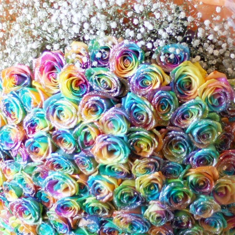 【数量限定】じゃれねこ『生花×ブルーローズ』 ねこばこ Ranran ～蘭々～ オリジナル 猫型 フラワーボックス