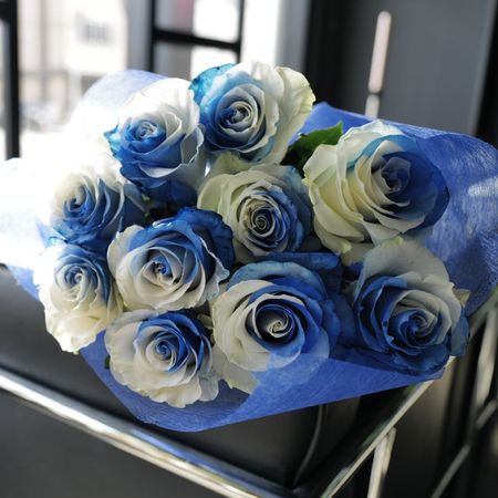 �֥롼����ɥۥ磻�ȥ�������10�ܤβ�«