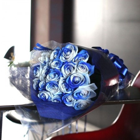 �֥롼����ɥۥ磻�ȥ�������20�ܤβ�«