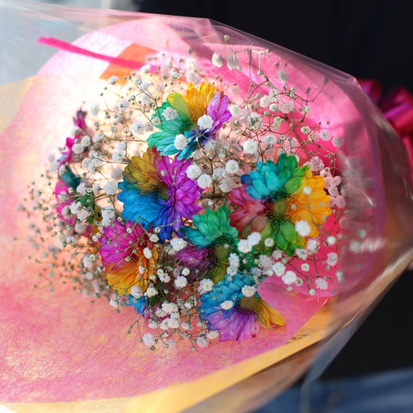 レインボーガーベラ10本の花束 キラキラかすみ草付き バラ 生花 レインボーガーベラ 花束 Roseshop 青いバラ レインボー ローズの専門店