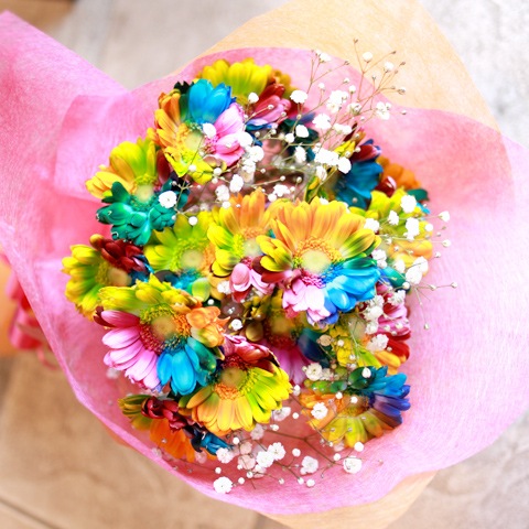 レインボーガーベラ20本の花束（キラキラかすみ草付き） | バラ・生花