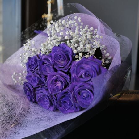 ��ΥХ顡10�ܤβ�«