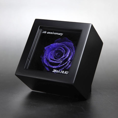 �Ĥ��Х� �ץꥶ���֥ɥե� �ߥ˥�å�������BOX