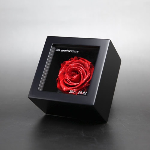 �� �ץꥶ���֥ɥե� �ߥ˥�å�������BOX