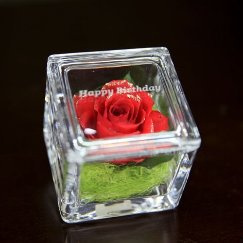 赤薔薇ゴールドラメ ドライフラワー イングラス ドライフラワー 赤薔薇 イングラス Roseshop 青いバラ レインボーローズの専門店