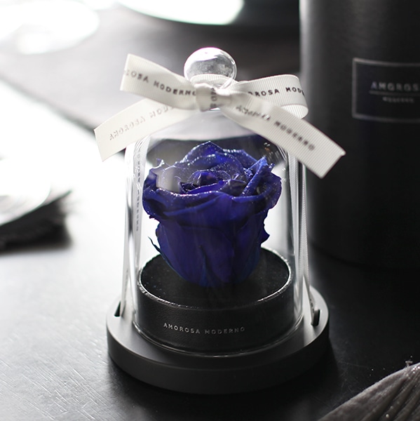 ĤХ顡ץꥶ֥ɥեȥ٥