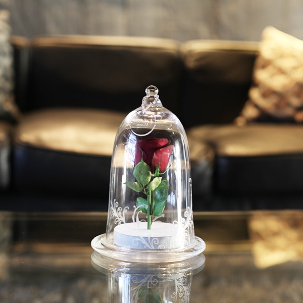 ドライフラワー 赤薔薇 マリアージュ・アン ベルタイプ | ドライ