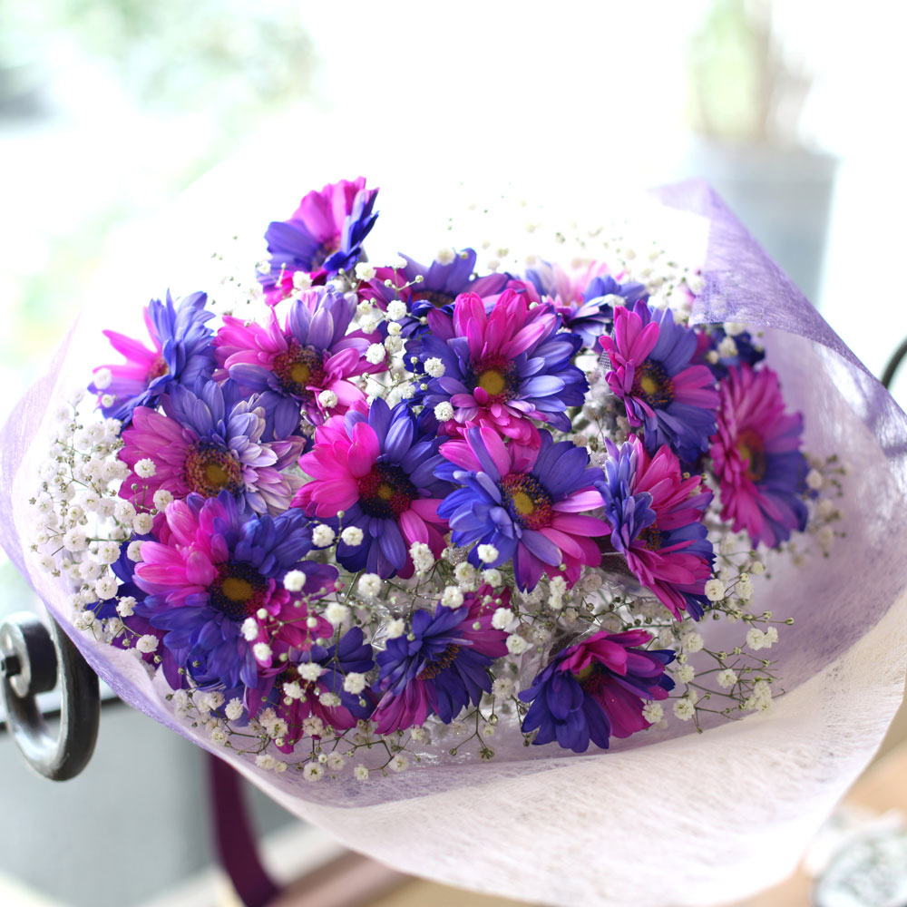 バイカラーガーベラ ピンク パープル 本の花束 キラキラかすみ草付き バラ 生花 バイカラーガーベラ 花束 Roseshop 青いバラ レインボーローズの専門店