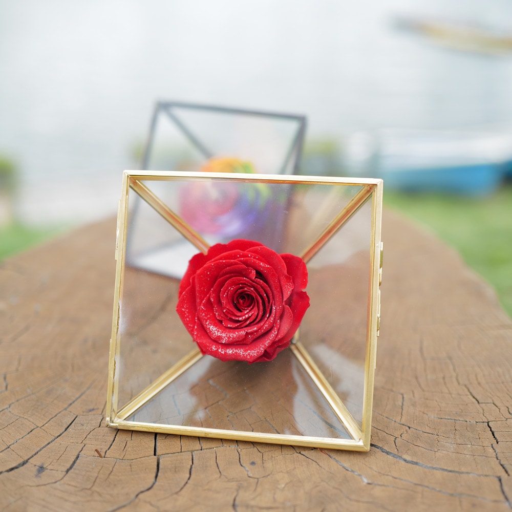 クリスタルアートリウム グラス赤ローズ