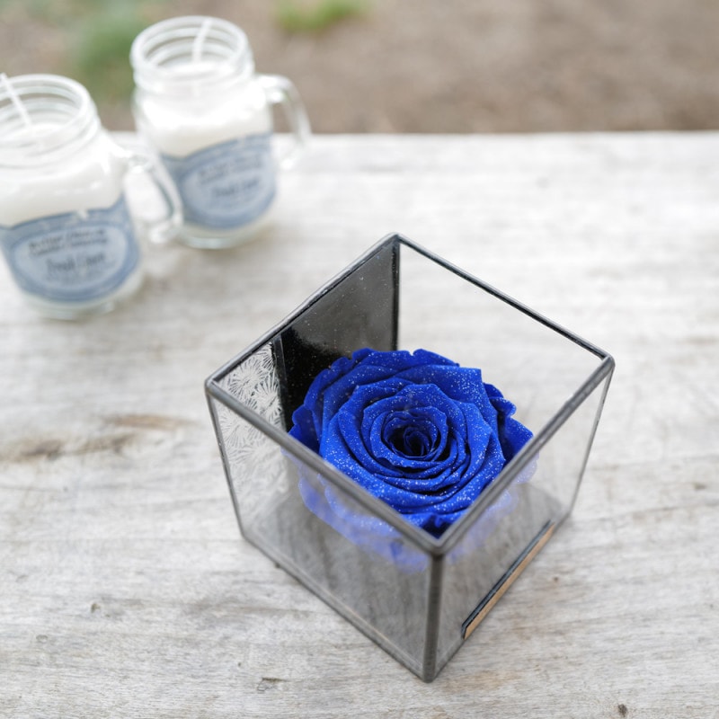 ĤХ ץꥶ֥ɥեin ƥɥ饹