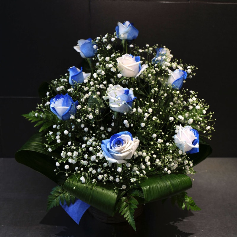 �֥롼����ɥۥ磻�ȥ�����10�ܤȥ��饭�餫������Υ���󥸥���
