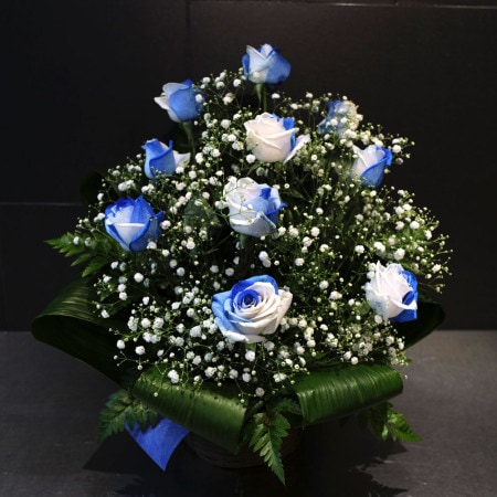�֥롼����ɥۥ磻�ȥ�����10�ܤȥ��饭�餫������Υ���󥸥���