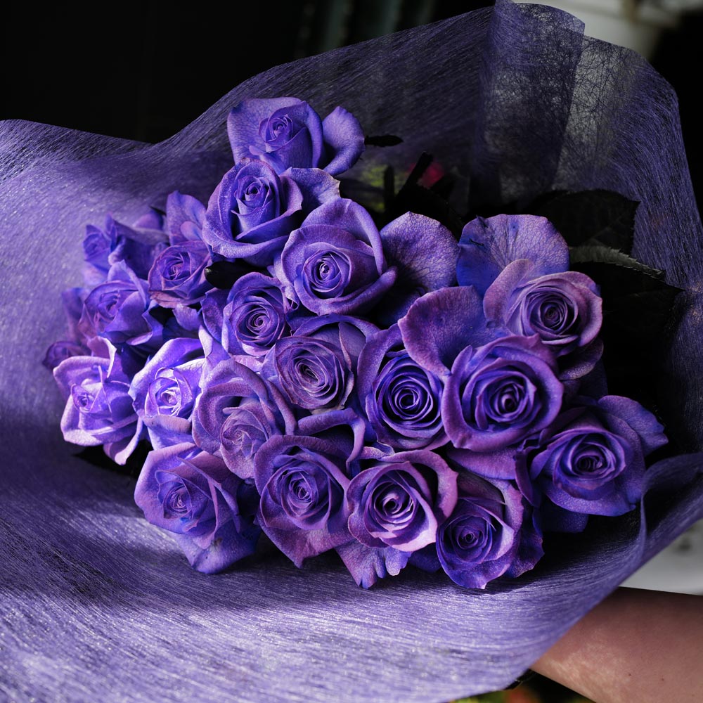 紫のバラ 20本の花束 | 色から探す,紫,紫のバラ,花束 | ROSESHOP