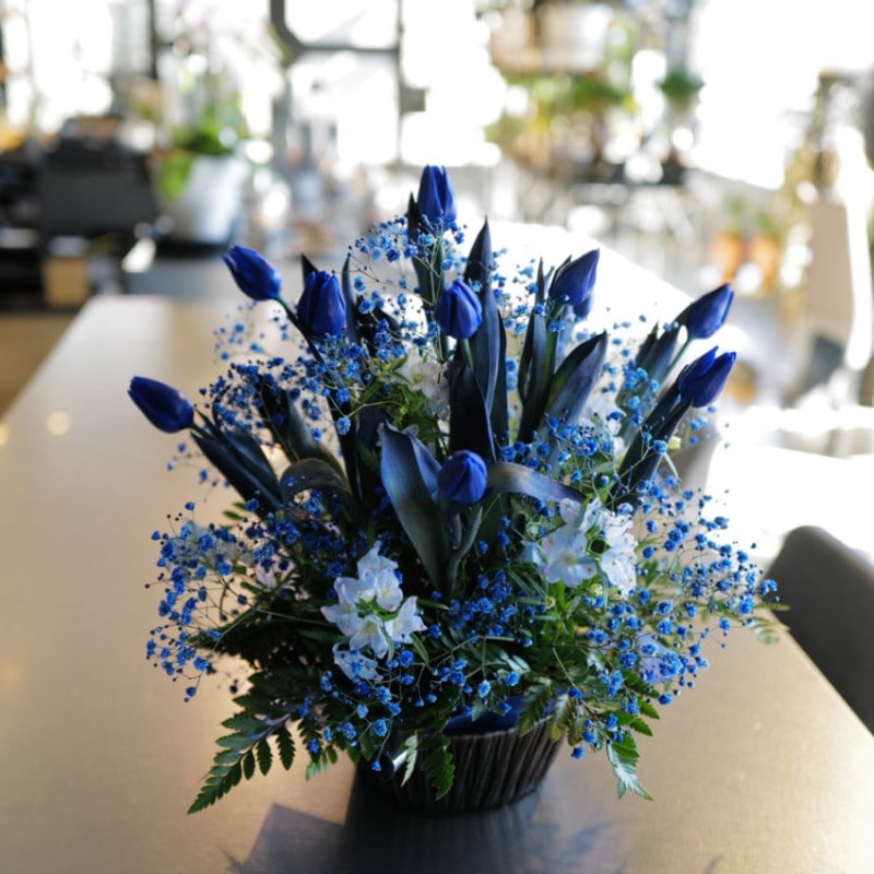 �Ĥ����塼��å�10�ܤȥ��饭���Ĥ���������Υ���󥸥��ȡʵ�������