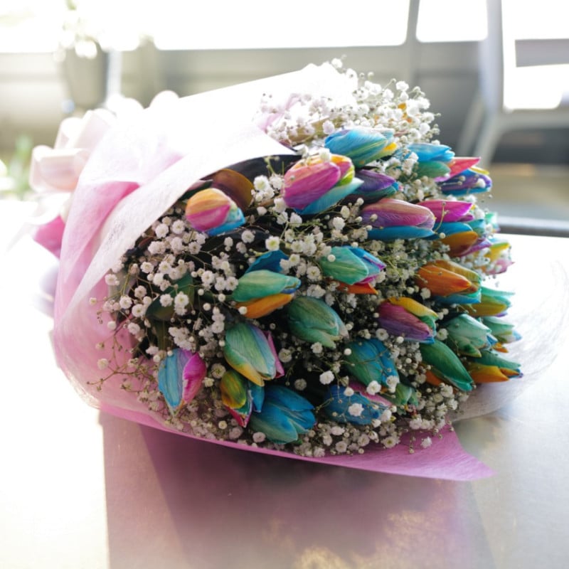 �쥤��ܡ����塼��å�30�ܤȥ��饭�餫������β�«