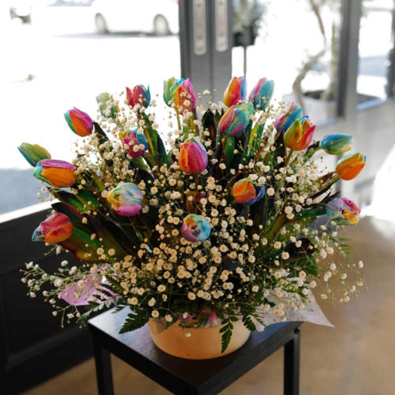 �쥤��ܡ����塼��å�20�ܤΥե�����󥸥��ȡʵ�������