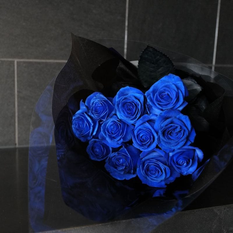 �Ĥ��Х顡11�ܤβ�«