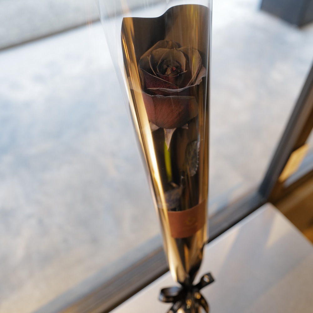 黒薔薇1本ラッピング | 色から探す,黒 | ROSESHOP 青いバラ