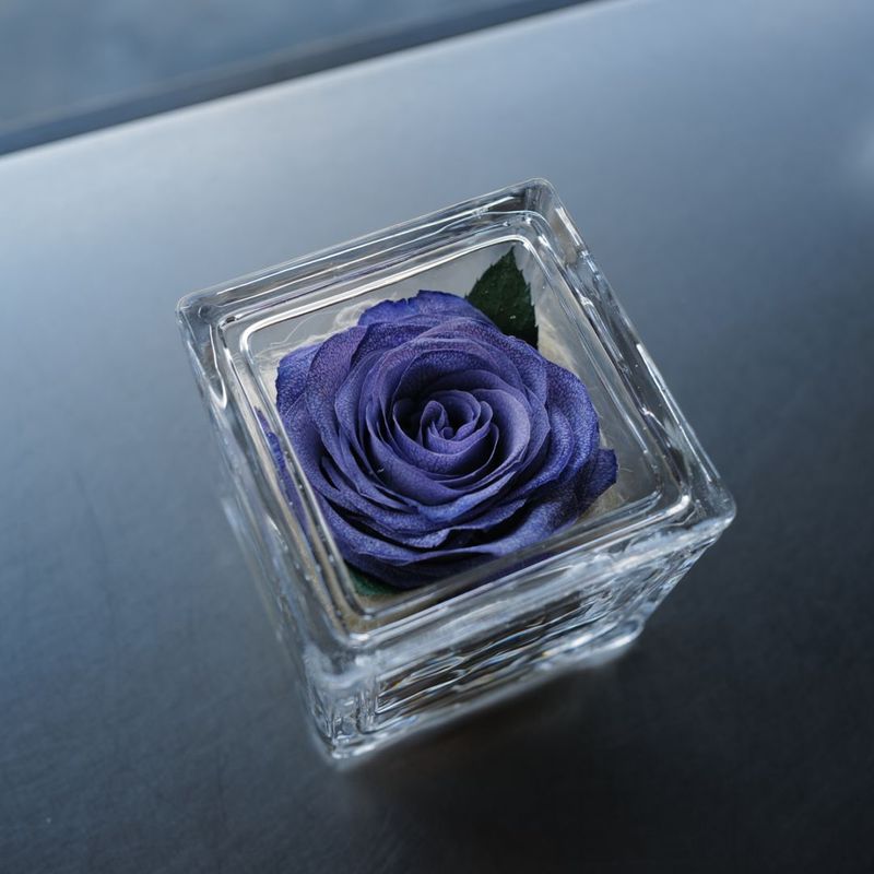 ɥ饤եΥХ 󥰥饹