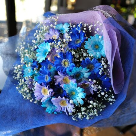 �ġ��忧����Υ����٥���30�ܤȥ��饭�餫������β�«