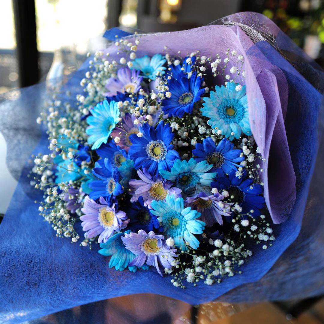 青・水色・紫のガーベラ合計30本とキラキラかすみ草の花束