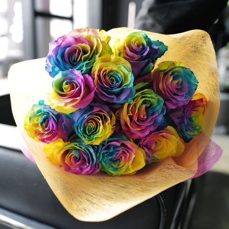 �쥤��ܡ���������12�ܤβ�«