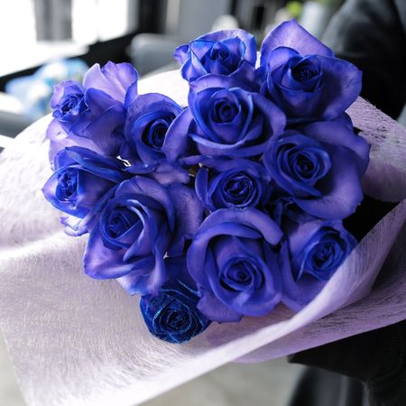 ��ΥХ顡12�ܤβ�«