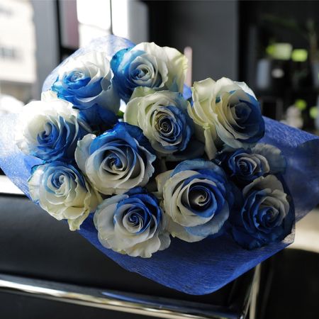 �֥롼����ɥۥ磻�ȥ�������11�ܤβ�«