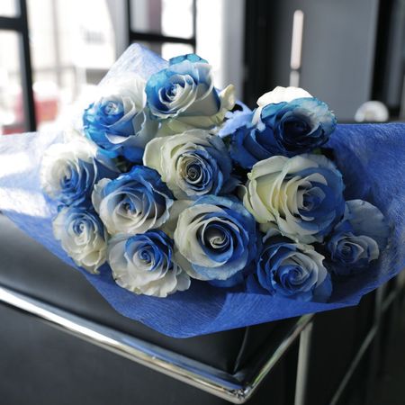 �֥롼����ɥۥ磻�ȥ�������12�ܤβ�«