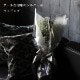 �֥롼����ɥۥ磻�ȥ�������108�ܤβ�«