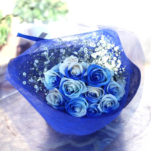 �֥롼����ɥۥ磻�ȥ�������11�ܤβ�«