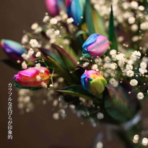 �쥤��ܡ����塼��å�10�ܤȥ��饭�餫������β�«