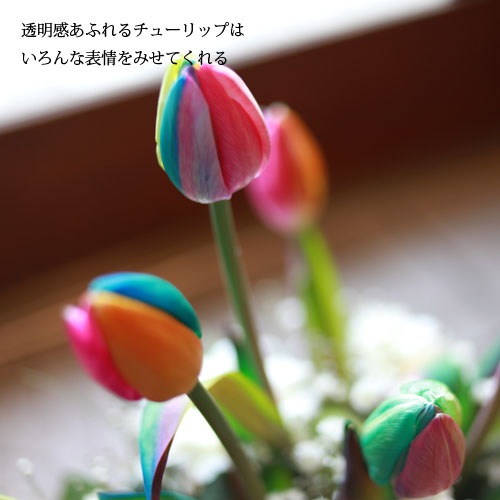 �쥤��ܡ����塼��å�10�ܤȥ��饭�餫������β�«