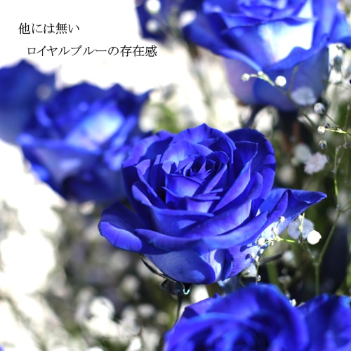 ĤХ10ܤȥ饭餫Υ󥸥