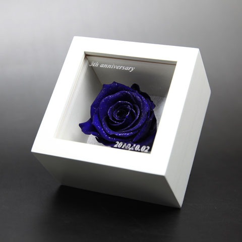 �Ĥ��Х� �ץꥶ���֥ɥե� �ߥ˥�å�������BOX